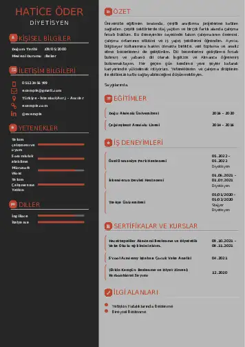 Beslenme Uzmanı Diyetisyen CV Örnekleri cv indir